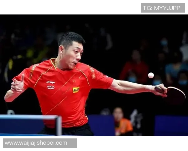 乒乓球的魅力：深入了解上海乒乓球队的默契配合与战术策略