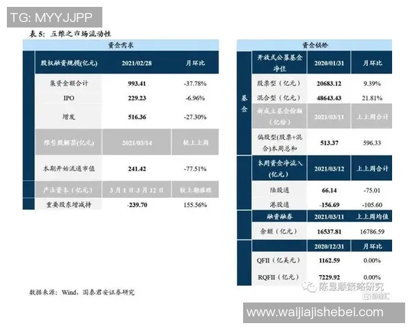 深入分析上海排球队防守策略与战术特点的专业解读